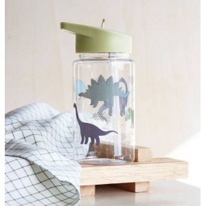 Drink bottle: Dinosaurs