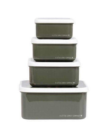 Lunch & snack box set: Savanna