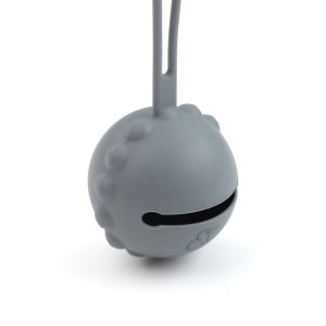 Gray Pacifier Carrying Container