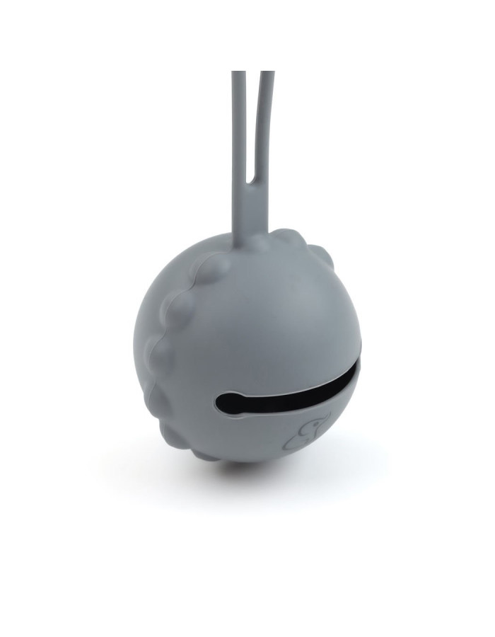 Gray Pacifier Carrying Container