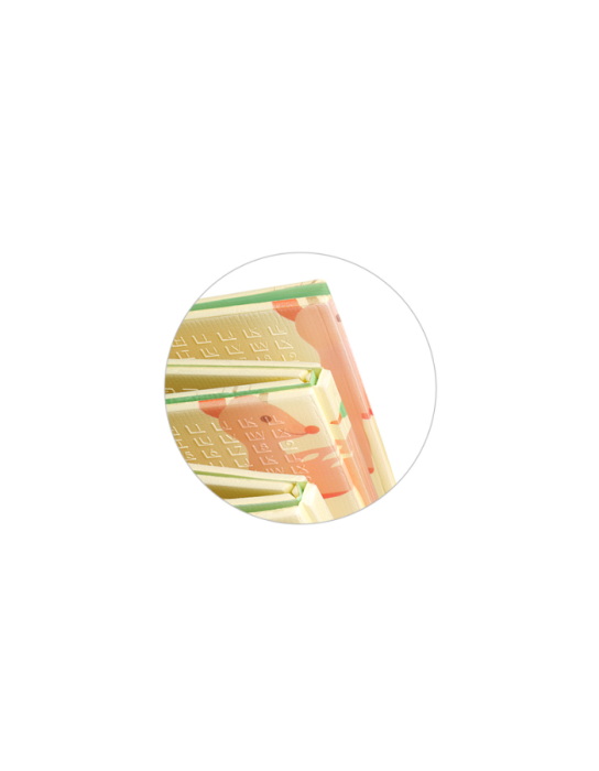 Babyono: Folding Double-Sided Foam Floor Puzzle 180 x 200 cm