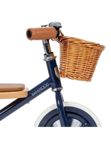 Banwood Kids Tricycle with Storage Basket & Push Handle for 2-6 Years Blue