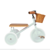 Banwood Kids Tricycle with Storage Basket for 2-6 Years Green Banwood Kids Tricycle with Storage Basket for 2-6 Years Green