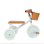 Banwood Kids Tricycle with Storage Basket for 2-6 Years Green