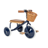 Banwood Kids Tricycle with Storage Basket & Push Handle for 2-6 Years Blue