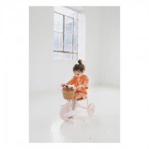 Metal and Woode Tricycle | Pink