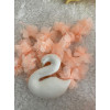 mini swan