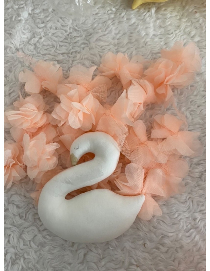 mini swan
