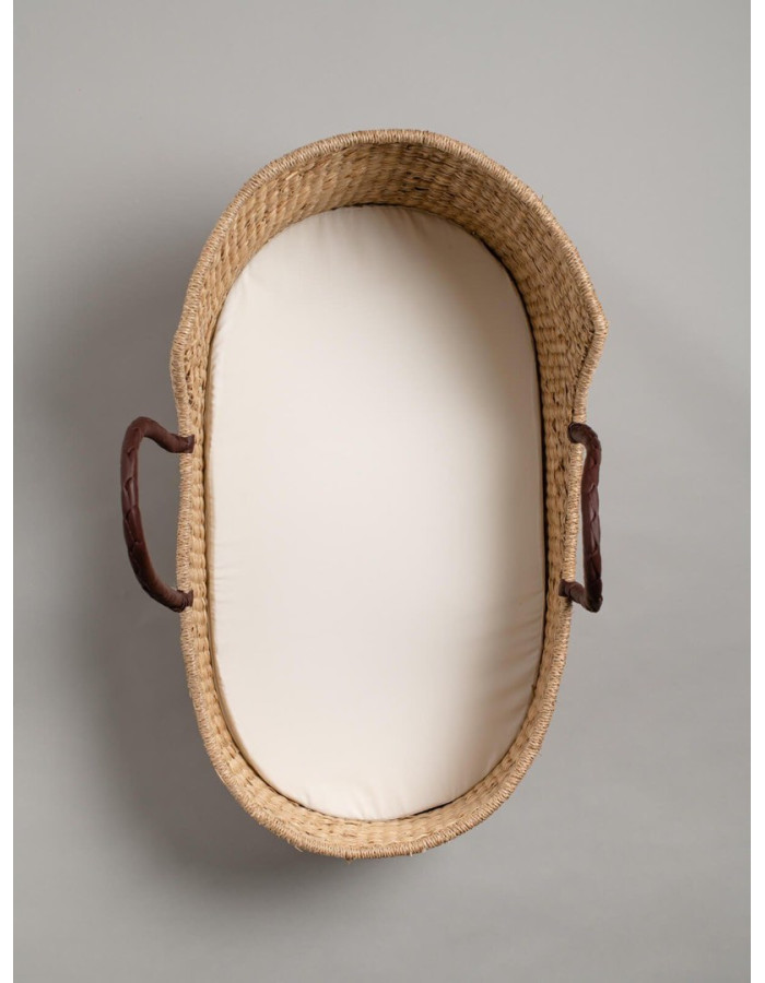 baby moses basket