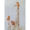 Giraffe Stuffed Animal Set