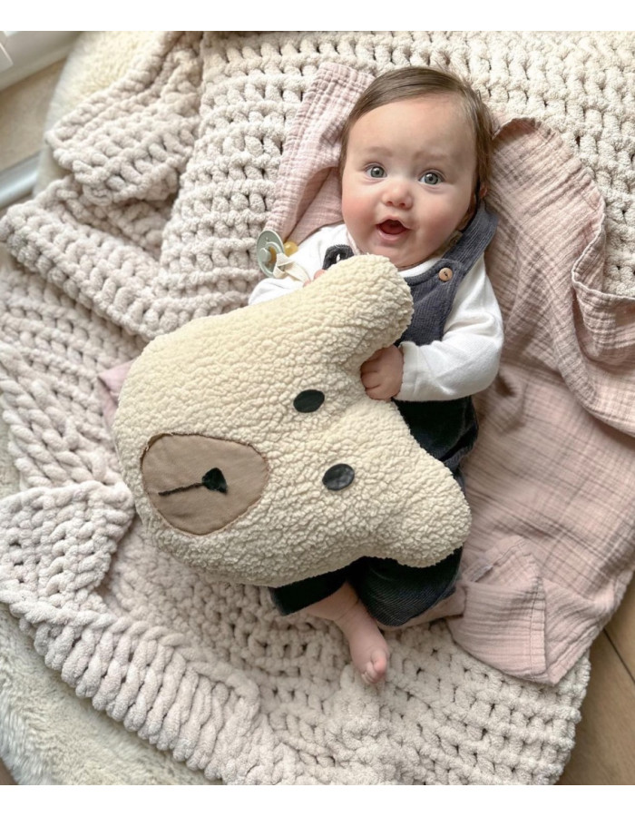 Teddy Bear