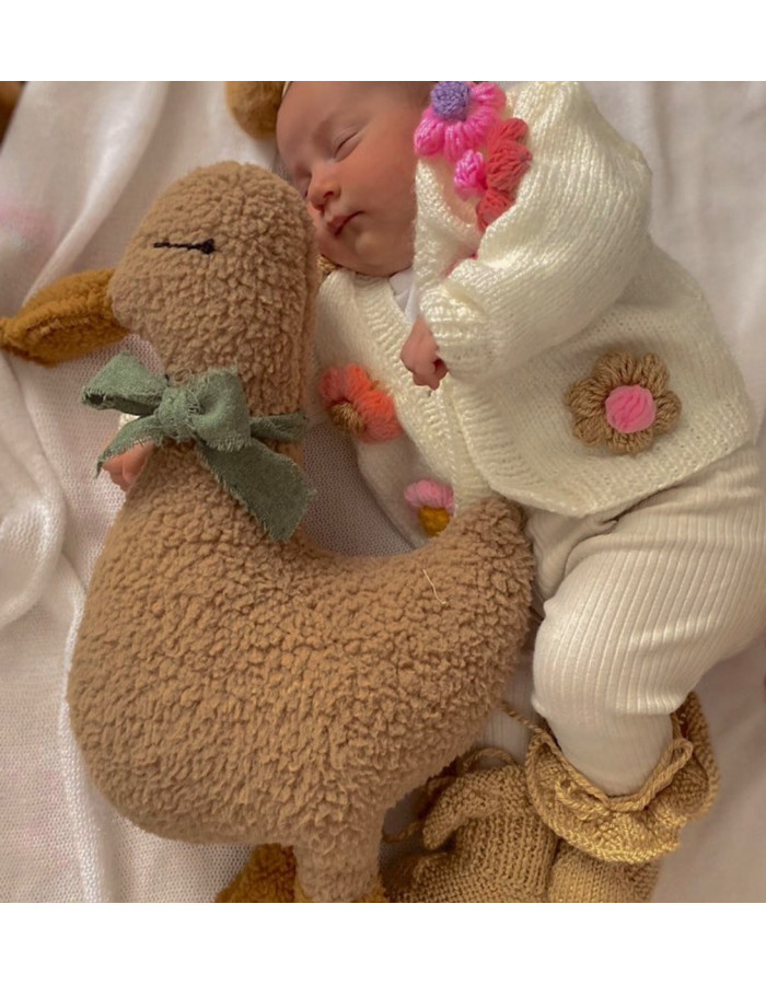 Luna Sleeping Companion