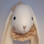 white Rabbit - romantic