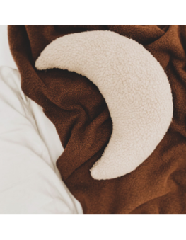 pillow Teddy Moon