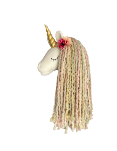 Unicorn sage Wall Decoration