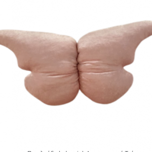 Πεταλούδα baby pink  Διακοσμητικό Τοίχου