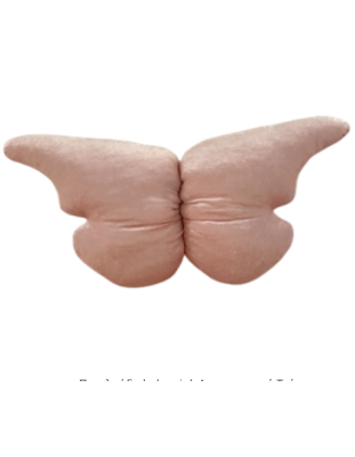 Πεταλούδα baby pink  Διακοσμητικό Τοίχου