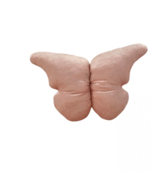 Πεταλούδα baby pink  Διακοσμητικό Τοίχου