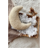 pillow Teddy Moon