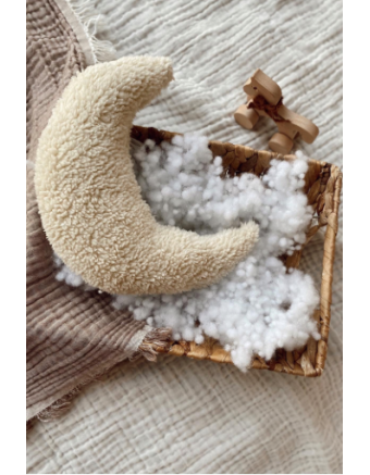pillow Teddy Moon