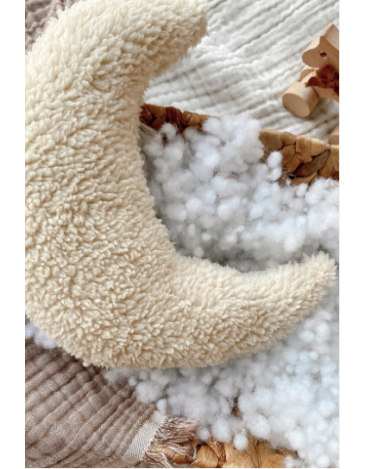 pillow Teddy Moon