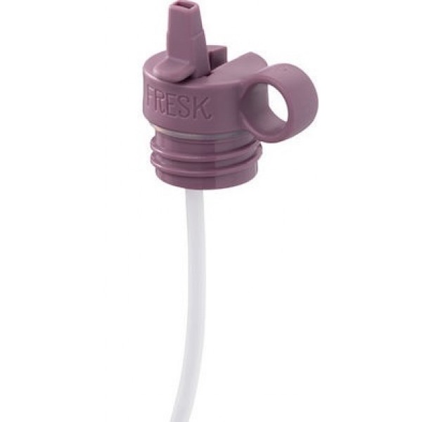 Fresk Straw for Thermos 350ml made of Steel