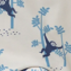 Fresk: Ολόσωμο μαγιό σορτς με προστασία UV50 Monkey