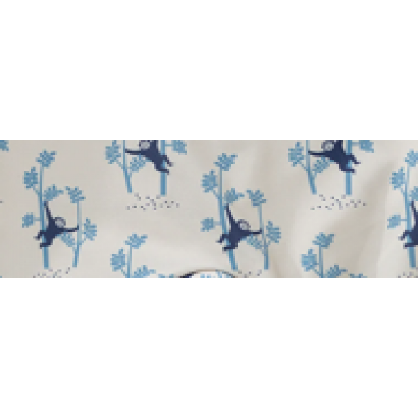 Fresk: Ολόσωμο μαγιό σορτς με προστασία UV50 Monkey