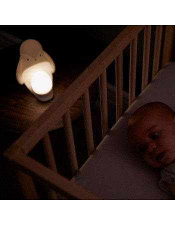 Gro Penguin lamp with USB