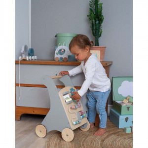 Activity wagon Teddy