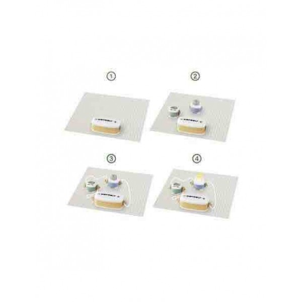 Kidywolf Educational Game Experiments for 6+ years old Years Old