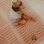 Toddlekind Kids Floor Puzzle 6pcs