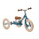  Trybike Tricycle that turns into a balance bike Vintage Green