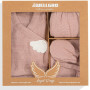 Angel Wings 5-τεμαχίων Νεογέννητο Σετ-ροζ
