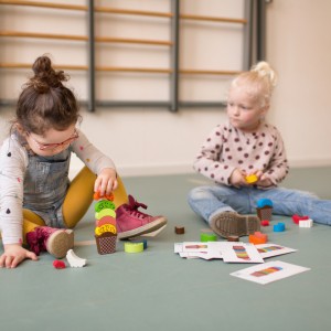 BS Toys – Ice Dream / Παιχνίδι Ισορροπίας