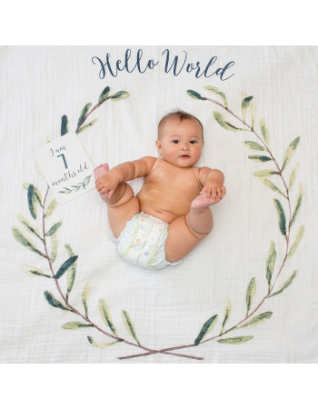 Mουσελίνα Φωτογράφισης   Κάρτες- Hello World