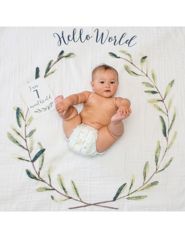 Mουσελίνα Φωτογράφισης   Κάρτες- Hello World