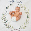 Mουσελίνα Φωτογράφισης   Κάρτες- Hello World
