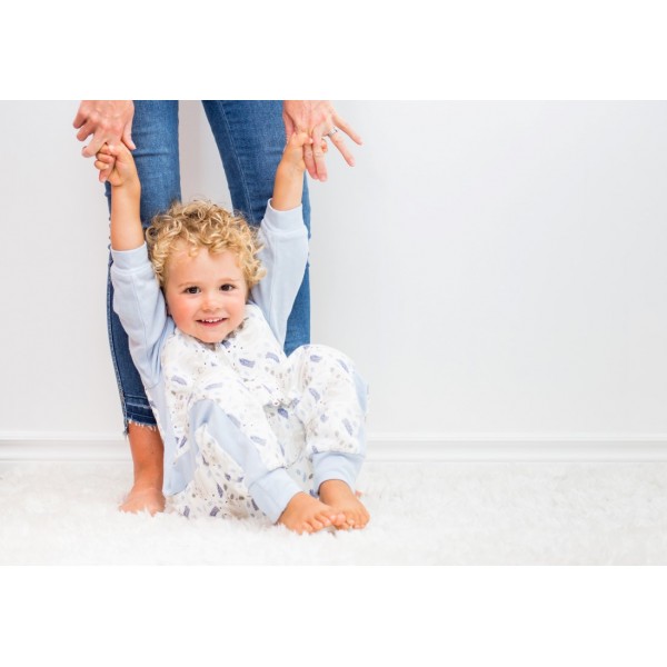 Lulujo Deluxe Υπνόσακος Koala 2.5 Tog - S (6-18 μηνών)