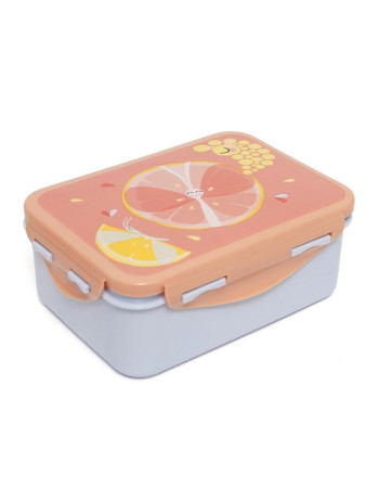 Petit Monkey – Lunch Box Flies  |  PTM-LB16