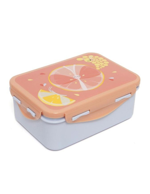 Petit Monkey – Lunch Box Flies