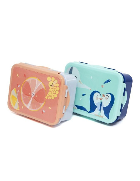 Petit Monkey – Lunch Box Flies