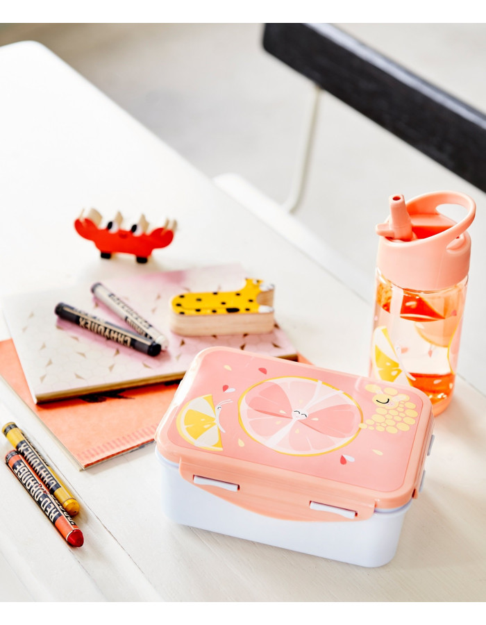 Petit Monkey – Lunch Box Flies
