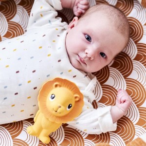 Petit Monkey – Μασητικό Λιονταράκι