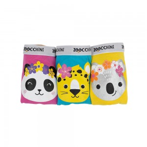 100% οργανικά βαμβακερά Hipsters 3 pc set -Flower Power - 4-5 ΕΤΩΝ