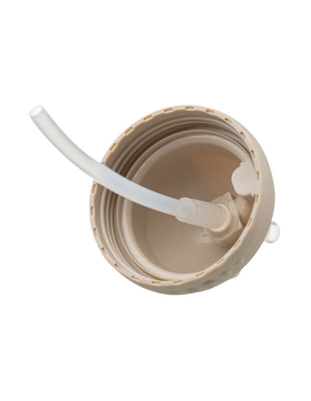 Akuku Baby Cup with Handles and Straw made of Plastic Beige 300ml for 9m+m+