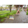 Bs Toys – Bowling Με Ξύλινες Κορίνες Bs Toys – Bowling Με Ξύλινες Κορίνες
