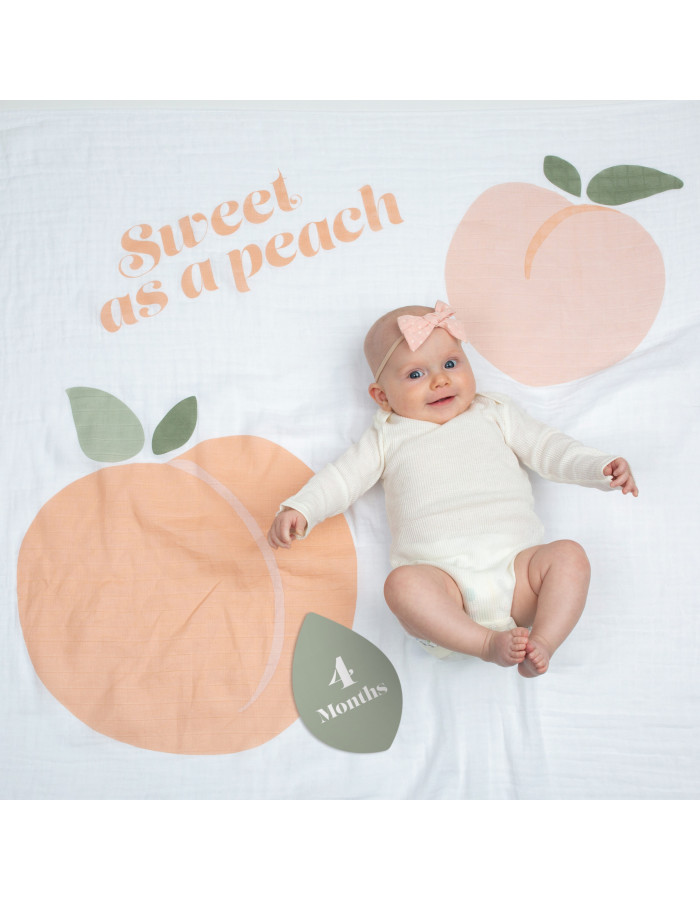 Lulujo Mουσελίνα Φωτογράφισης Κάρτες- Sweet as Peach | LJ596 Lulujo Mουσελίνα Φωτογράφισης Κάρτες- Sweet as Peach | LJ596