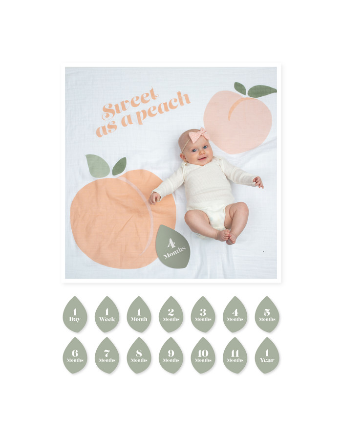 Lulujo Mουσελίνα Φωτογράφισης Κάρτες- Sweet as Peach | LJ596 Lulujo Mουσελίνα Φωτογράφισης Κάρτες- Sweet as Peach | LJ596