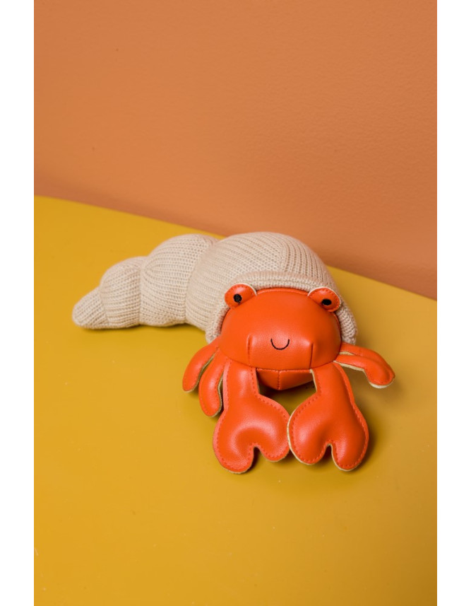 TINY FRIENDS – Brigitte the Hermit Crab